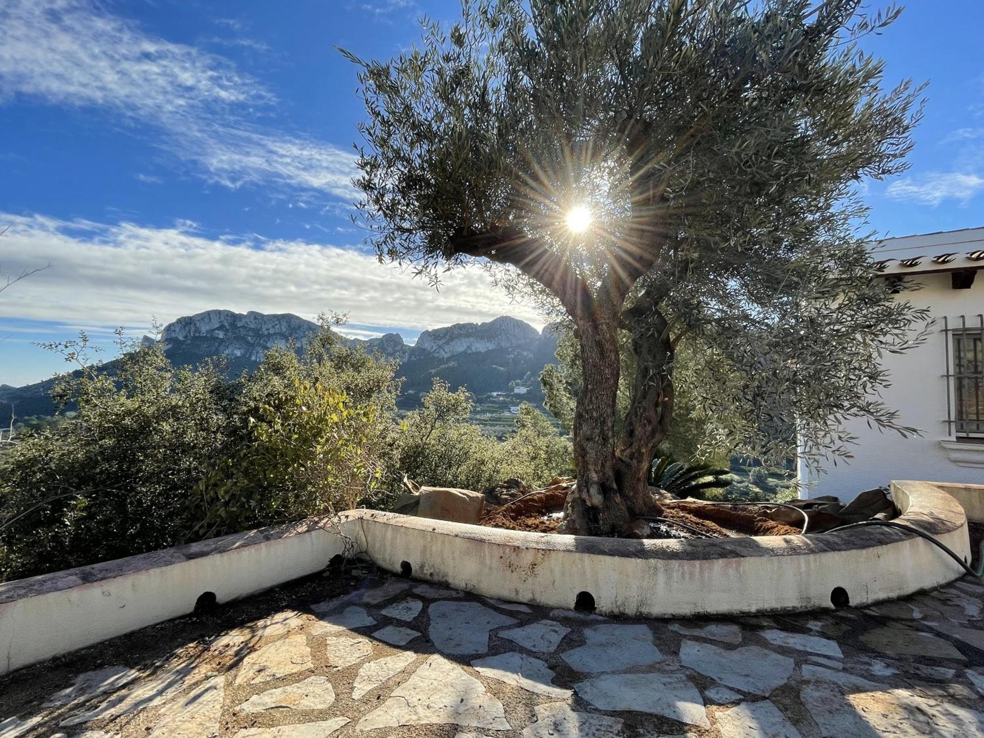 Villa Casa Dali Monte Pego ภายนอก รูปภาพ